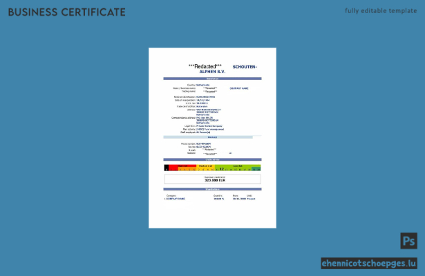 Beispiel für eine niederländische Registrierungsbescheinigung